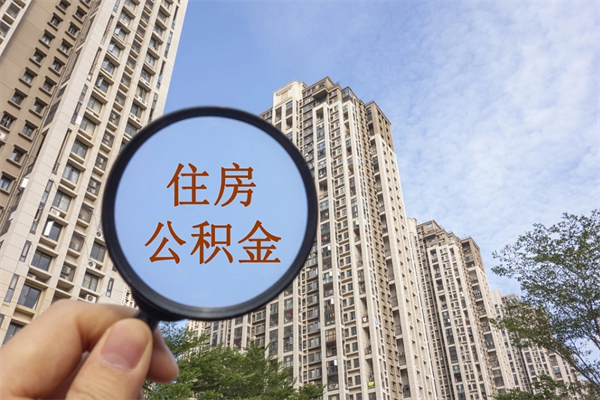 温州辞职多久公积金可以全部取出来吗（辞职之后公积金多长时间可以取）